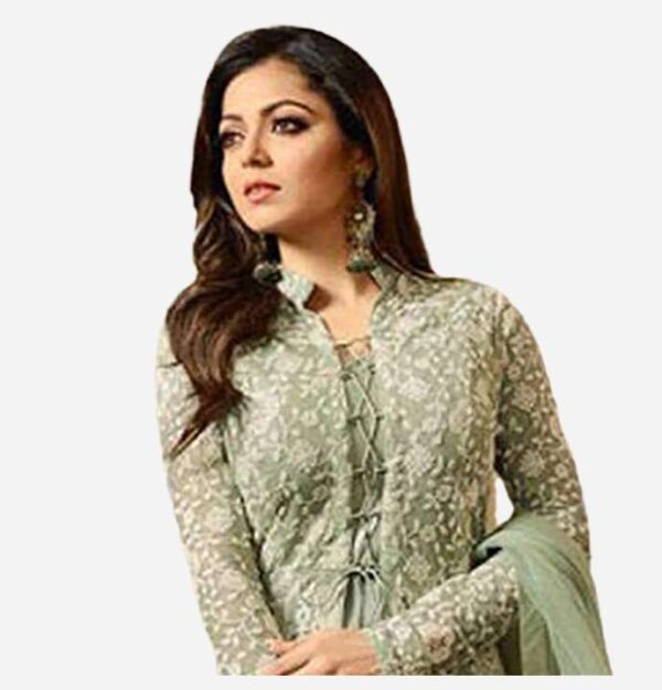 Light Green Banglory Silk Net Dupatta Embroidered Flared Gown